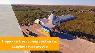Перлина Степу: переработка, ведущая к экспорту