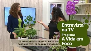 Aprenda a fazer um Adubo Caseiro Maravilhoso - NPK Orgânico