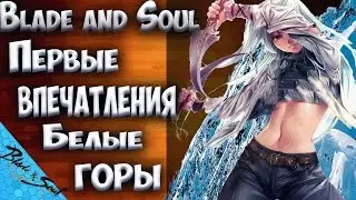 Blade and Soul -  Первые впечатления от БГ (Не актуально)
