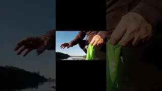 23.08.2024 г. Эушта. Дамба. Опять щука и окуни.