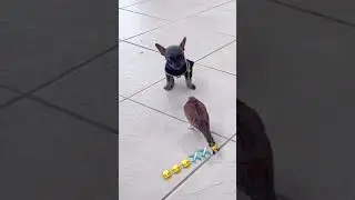 Приколы 2022 #прикол #ржач #рек #приколы2022