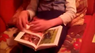 Жук-огнецветка