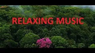 Relaxing Music, Relaxing music, relaxing study, romantic music, best Relaxing Music,Meditation music