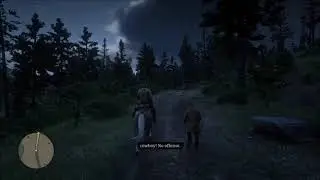 Red Dead Redemption II Taking A Stranger To Strawberry