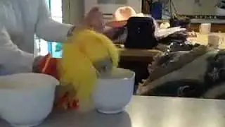 Ricitos de Oro.mov