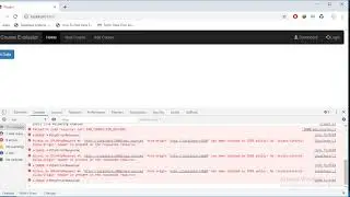 Cors in Angular  And Error Resolve