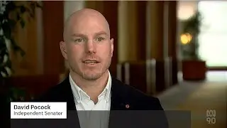 ABC1 Melb 20220906 Senator David Pocock re fake carbon credits