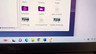 Stegosuite