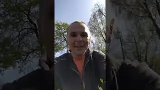 спасение утиной семьи