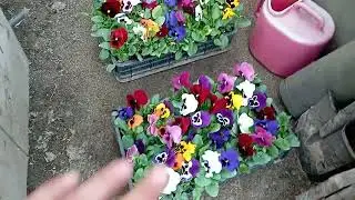 Повезу красоту к покупателям!!! Обзор