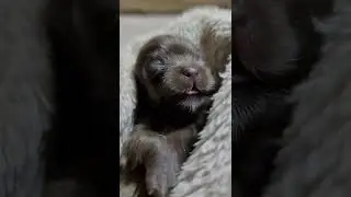 Масики - дни следующие 💝💝