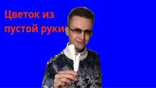 ФОКУСЫ | ЦВЕТОК ИЗ ПУСТОЙ РУКИ