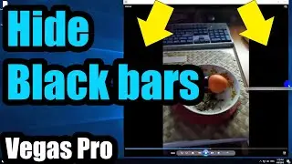 How to eliminate Vertical Black Bars from a video (Vegas Pro)
