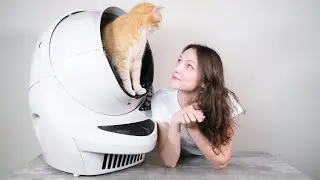Litter-Robot III: FAQs & Troubleshooting Common Issues