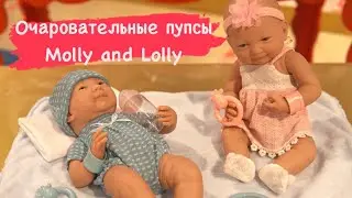 Пупсы Molly and Lolly
