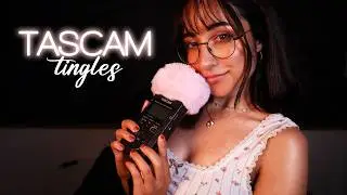 ASMR | TASCAM TINGLES 😍 Whispers & Mouth Sounds 💖 (1 hour w/ black screen)
