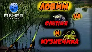 🔴FISHER ONLINE ЛОВЛЮ НА КУЗНЕЧИКА И СЛЕПНЯ