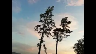Инструкции по медитации на дыхании от Будды / Часть 1