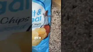 RATATOUILLE AY🐀🐀💀      #funny #rat #chips
