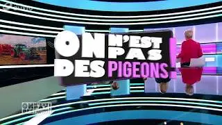 Herenboeren bij RTBF On n'est pas des pigeons