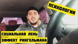 Социальная лень. Эффект Рингельмана