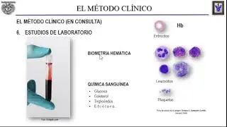 EL MÉTODO CLÍNICO II.