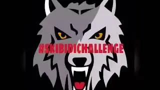 #skibidichallenge