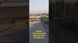 Шаҳри Истаравшан Деҳаи Қаълачаи Гулӣ Зард Мумфарш Карда Шуд Бо Мусофирони Диёри Қаълачаи Гулӣ Зард