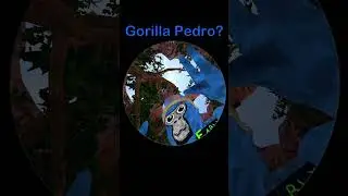 Gorilla Pedro? 