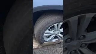 В стройке жить- не тужить