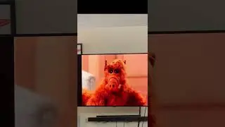 A Little On The Complete ALF From Shout Factory