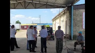 Сельские голуби. 19.06.23.года.Ярмарка голубей город Белореченск.