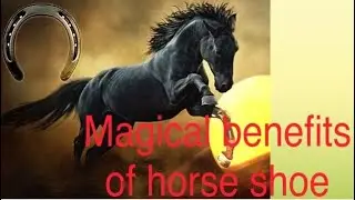 benefits of horse shoe as per vastu