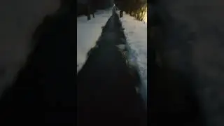 Весь день дождь шёл