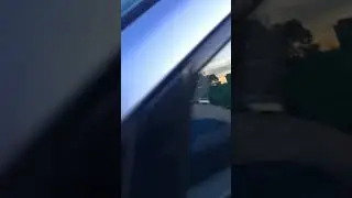 Sephil still in car