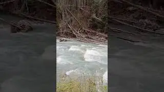 река Теберды