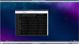 installing dkms on Cosmos LXQT Lubuntu 18.10 and PCLinuxOS