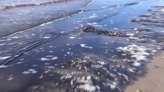 Белое море