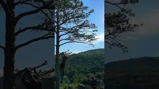 Леса и спортзалы, вот наши храмы!
