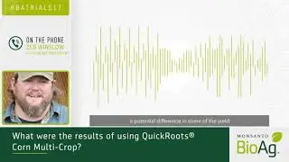 Positive In Season Plant Differences Solidify Continued Testing of QuickRoots® Technology in Corn