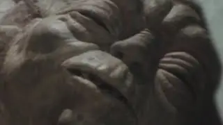 Yoda wakes up
