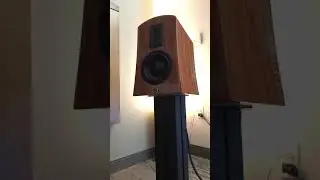 Ready for Alta Audio at Axpona 2024?