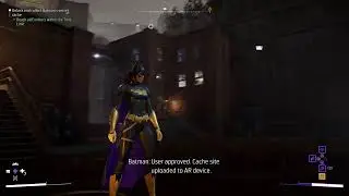 Gotham Knights: Batlady