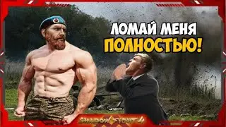 стрим по стандофу бесплатные дуели