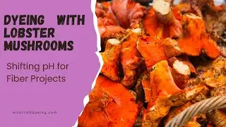 How to Dye with Lobster Mushrooms: Shifting pH for Fiber Projects