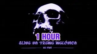[1 HOUR] Slide da treme melódica v2 (dj fnk)