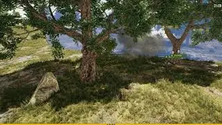 Funny Chicken Dinner