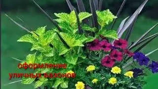 ЦВЕТОЧНЫЕ КОМПОЗИЦИИ В УЛИЧНЫХ ВАЗОНАХ.