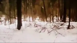 ХИТРАЯ КУНИЦА ХИТРИТ ПОКА НЕ ГОЛОДНАЯ