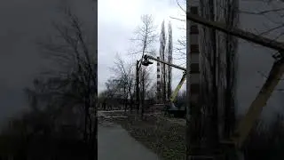 Обрезка, кронирование деревьев (098) 087 77 78.